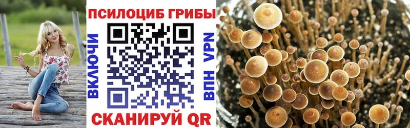 Псилоцибиновые грибы ЛСД  Купить  Кимовск 